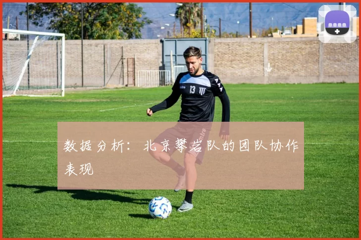 数据分析：北京攀岩队的团队协作表现