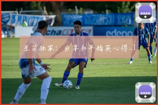 王芳独家：分享和平精英心得_1