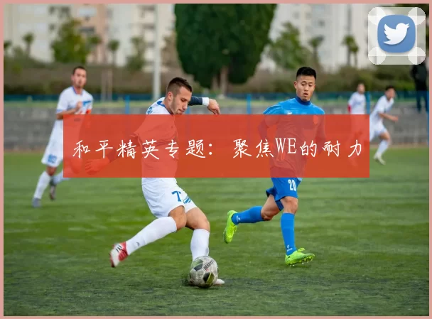 和平精英专题：聚焦WE的耐力