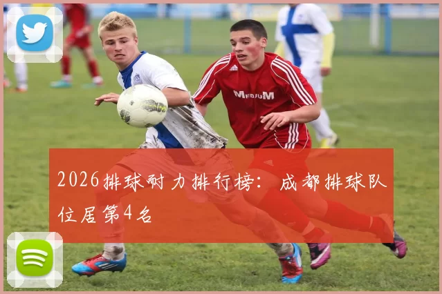 2026排球耐力排行榜：成都排球队位居第4名