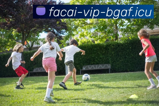 九游体育注册平台生态图